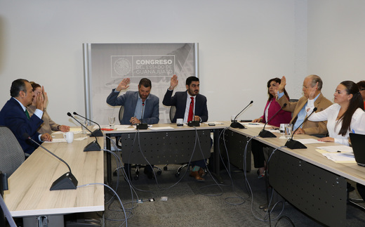 Slide_gobernaci_n_y_puntos_constitucionales-008
