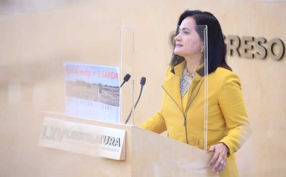 Inicio_whatsapp_image_2022-04-07_at_12.39.24_pm