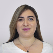 Diputado_redondo_dip_ma._carmen_rivera_hern_ndez