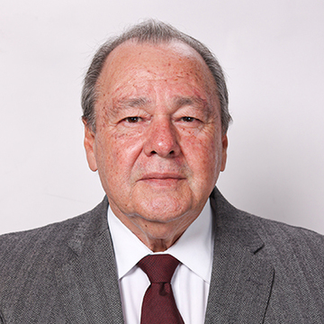 Diputado_lxvi_martinez_mendizabal