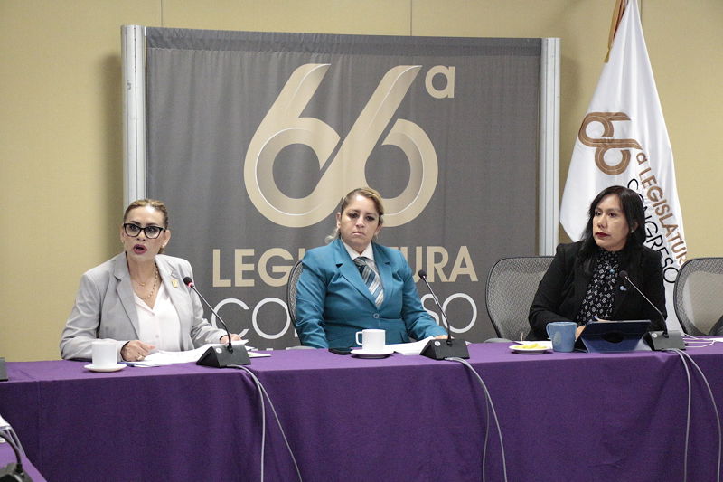 https://congreso-gto.s3.amazonaws.com/uploads/imagen/imagen/100266/pop__MG_0015.JPG