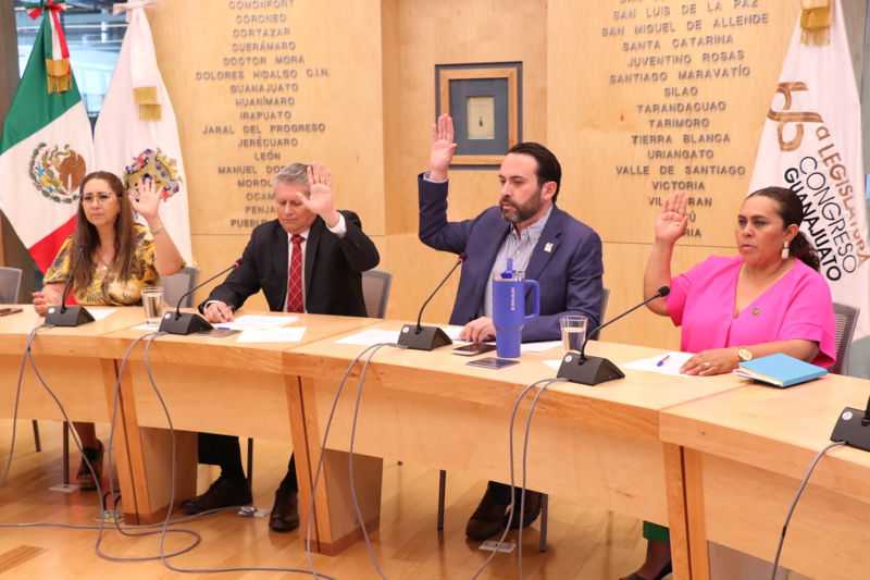 https://congreso-gto.s3.amazonaws.com/uploads/imagen/imagen/102043/pop_7A4A1067.JPG