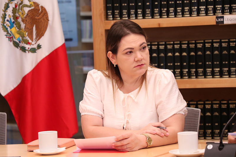 https://congreso-gto.s3.amazonaws.com/uploads/imagen/imagen/102466/pop_7A4A3047.JPG