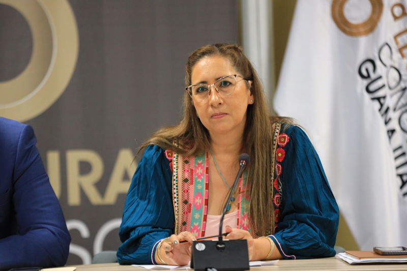 https://congreso-gto.s3.amazonaws.com/uploads/imagen/imagen/102581/pop_0H7A6554.JPG
