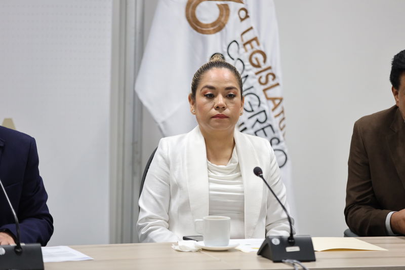 https://congreso-gto.s3.amazonaws.com/uploads/imagen/imagen/102902/pop_0H7A6742.JPG