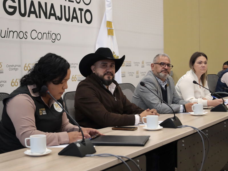 https://congreso-gto.s3.amazonaws.com/uploads/imagen/imagen/109428/pop_0H7A2064.JPG