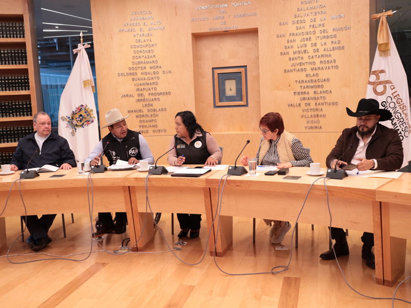 https://congreso-gto.s3.amazonaws.com/uploads/imagen/imagen/109466/pop_0H7A2004.JPG