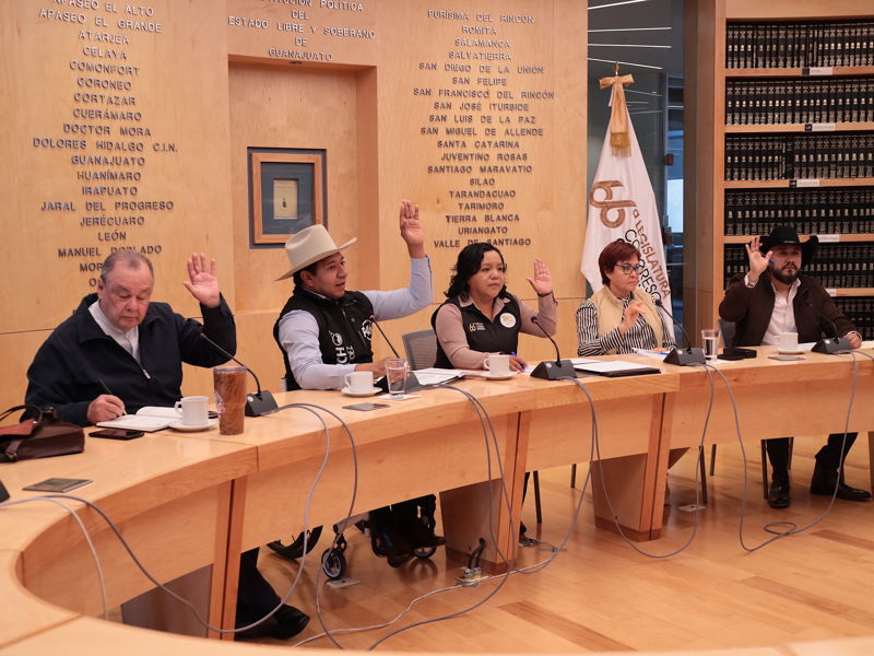https://congreso-gto.s3.amazonaws.com/uploads/imagen/imagen/109470/pop_0H7A2025.JPG