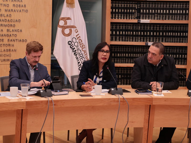 https://congreso-gto.s3.amazonaws.com/uploads/imagen/imagen/109560/pop_0H7A2351.JPG