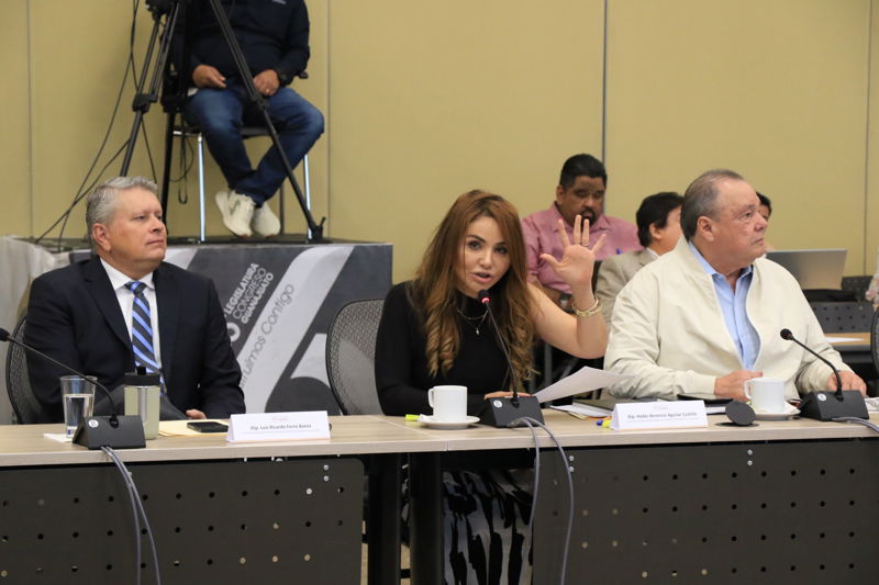 https://congreso-gto.s3.amazonaws.com/uploads/imagen/imagen/109570/pop_7A4A2046.JPG