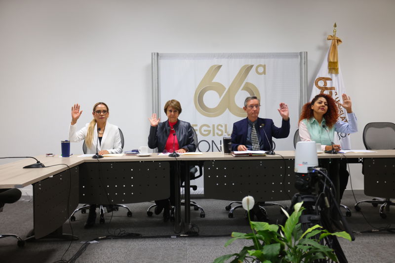 https://congreso-gto.s3.amazonaws.com/uploads/imagen/imagen/109946/pop_6H9A4071.JPG