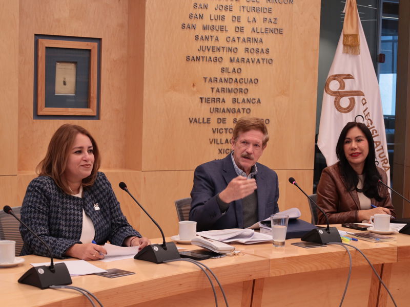 https://congreso-gto.s3.amazonaws.com/uploads/imagen/imagen/109981/pop_0H7A3779.JPG
