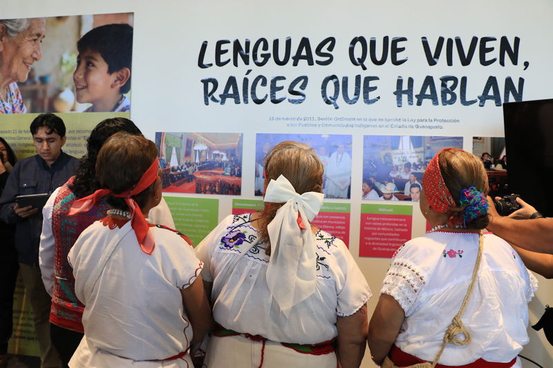 https://congreso-gto.s3.amazonaws.com/uploads/imagen/imagen/110098/pop_7A4A3738.JPG