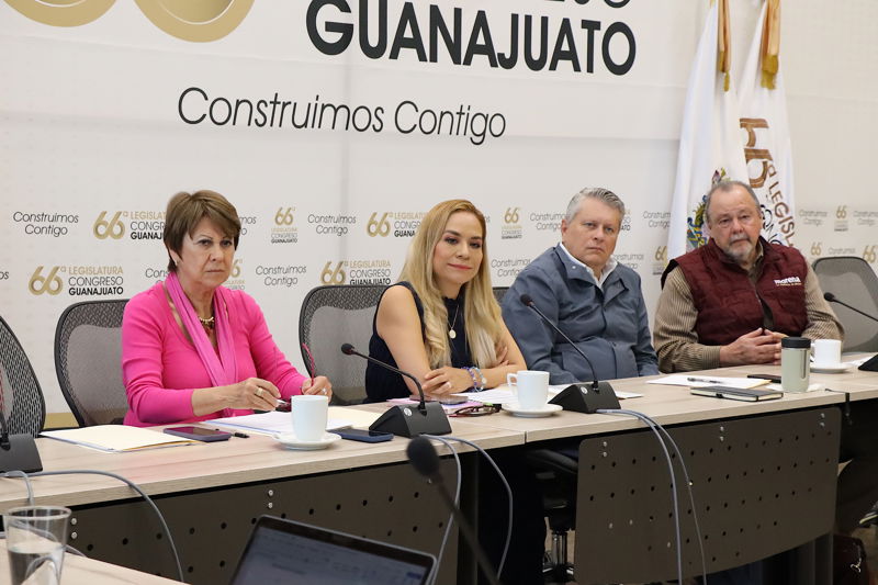 https://congreso-gto.s3.amazonaws.com/uploads/imagen/imagen/112724/pop_0H7A2262.JPG