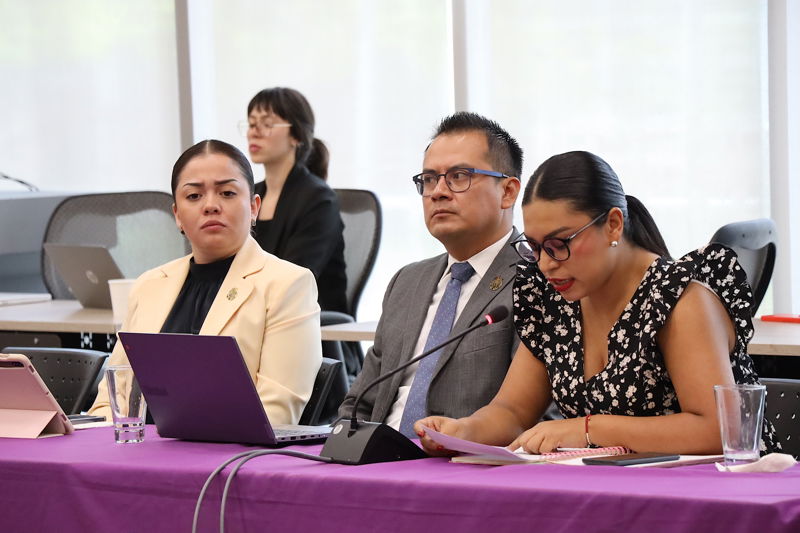 https://congreso-gto.s3.amazonaws.com/uploads/imagen/imagen/114594/pop_0H7A8697.JPG