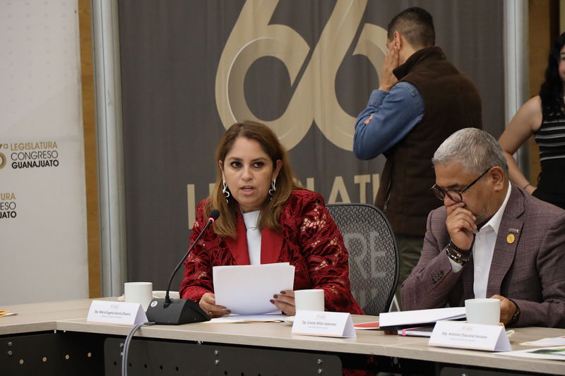 https://congreso-gto.s3.amazonaws.com/uploads/imagen/imagen/114649/pop_0H7A8942.JPG