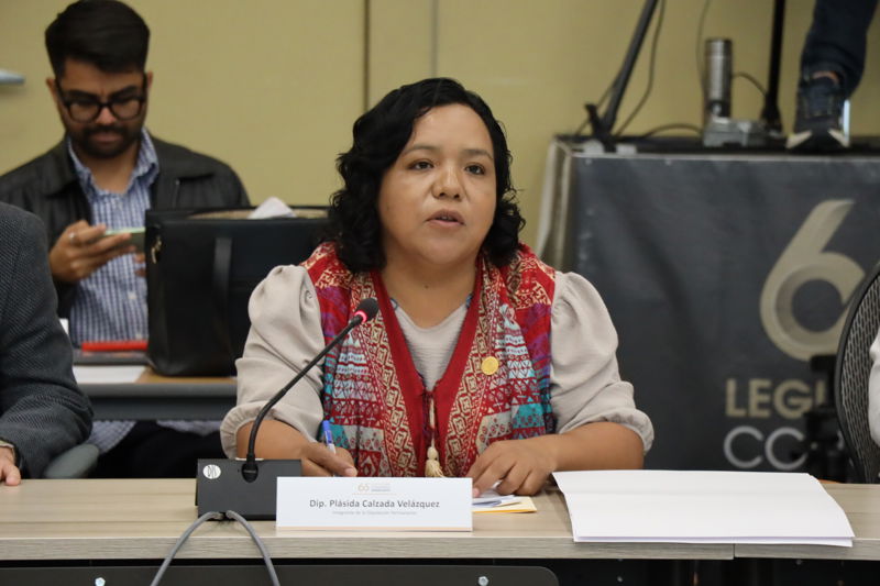 https://congreso-gto.s3.amazonaws.com/uploads/imagen/imagen/114654/pop_0H7A9061.JPG