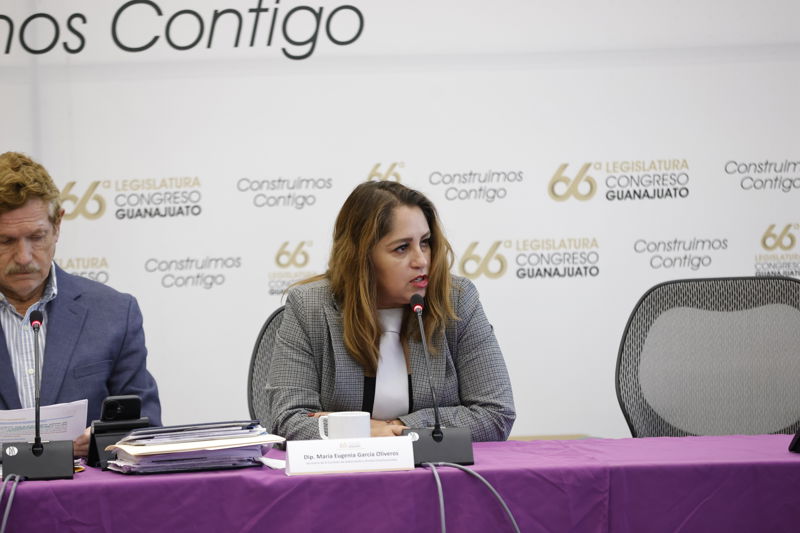 https://congreso-gto.s3.amazonaws.com/uploads/imagen/imagen/115157/pop__H9A3740.JPG