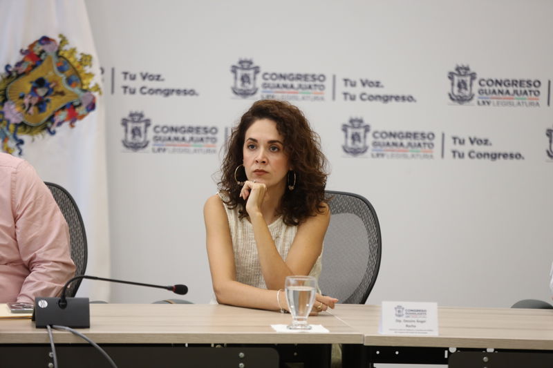 https://congreso-gto.s3.amazonaws.com/uploads/imagen/imagen/94471/pop_0H7A7381.JPG